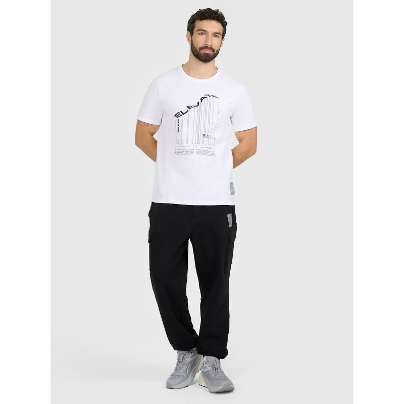Men's regular printed T-shirt 4F 4FRAW25TTSHM3845-10S póló