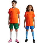 Nike Dri-Fit Park VIII Kids' T-Shirt Orange HV8182 narancssárga póló