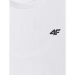 Men's regular plain T-shirt 4F 4FRMM00TTSHM4192-10S póló