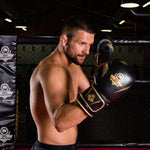 DBX Bushido 10oz Boxing Gloves - Aureos - Valor Series kesztyű