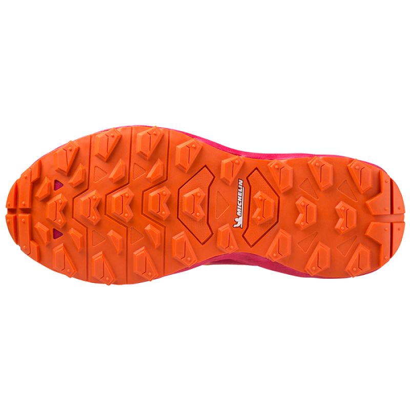 Mizuno Wave Daichi 7 GTX W shoes J1GK225672 Cipő