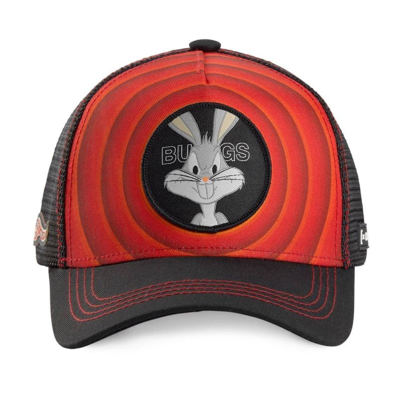 Kép alternatív szöveg
