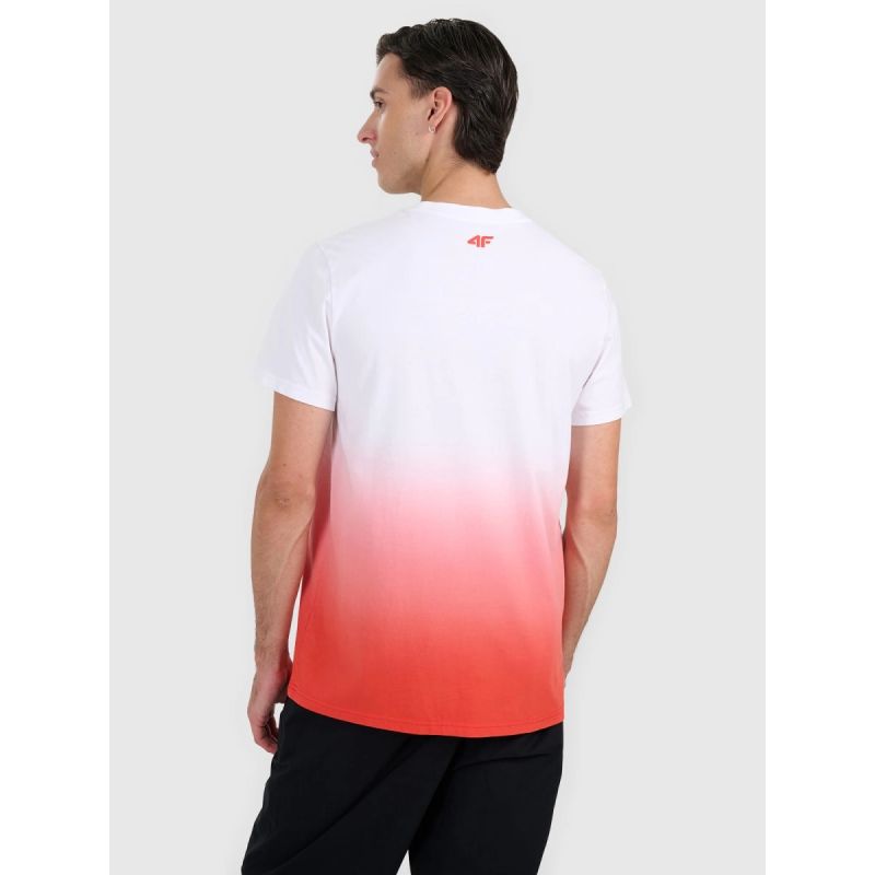 Men's regular printed T-shirt 4F 4FRAW25TTSHM3226-62S póló