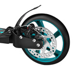 Hm124t Scooter With Disc Brake Nils Extreme türkiz roller
