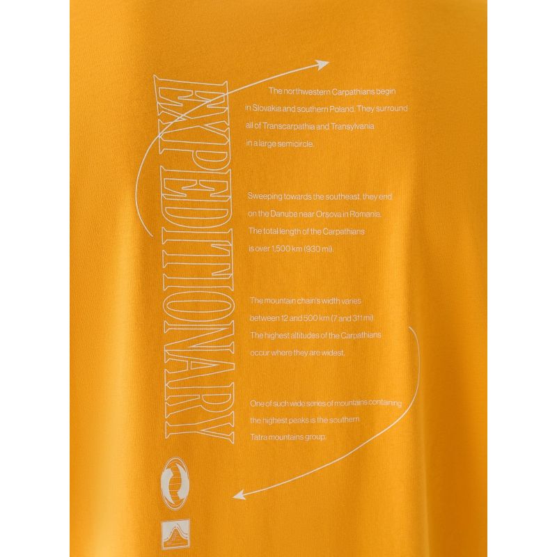 Men's oversized printed T-shirt 4F 4FRAW24TTSHM2578-70S póló