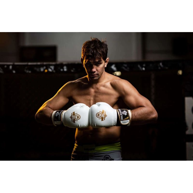 DBX Bushido 10oz Boxing Gloves - Spirit - Valor Series kesztyű