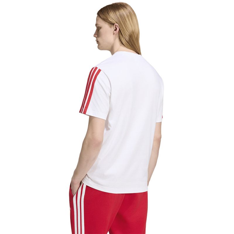 Adidas FC Bayern DNA Tee póló