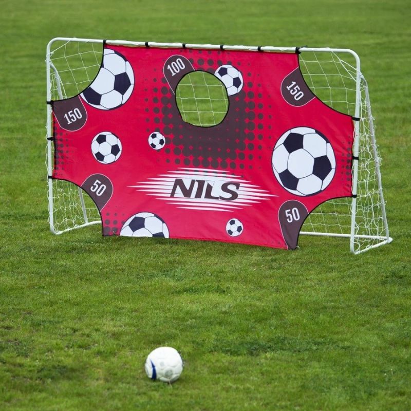 Goal with net and aiming panel Nils BR240P 2in1 240x150cm 10-10-821