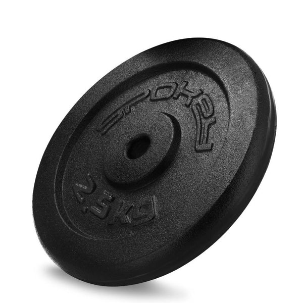 Spokey Cast iron weight 2.5kg Sinis SPK-944483 Edzőfelszerelés