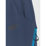 Men's trekking trousers 4F 4FRAW25TFTRM1233-31S