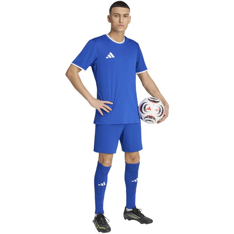 Kép alternatív szöveg