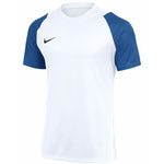 Men's Nike Dri-Fit Academy II T-shirt white and HV8160 kék póló