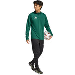 Men's adidas Entrada 26 Training Top green KE9823 zöld pulóver
