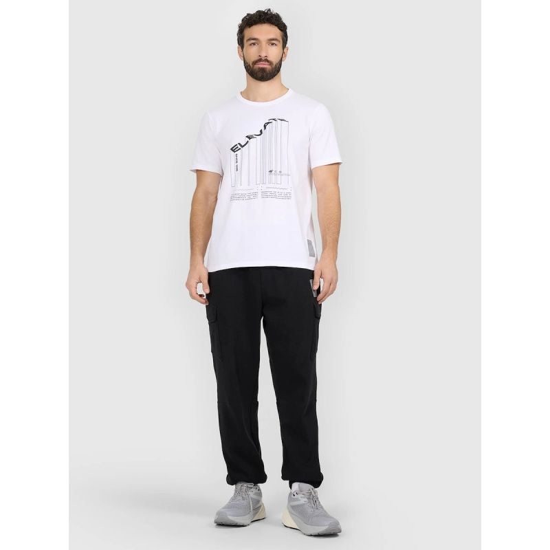Men's regular printed T-shirt 4F 4FRAW25TTSHM3845-10S póló