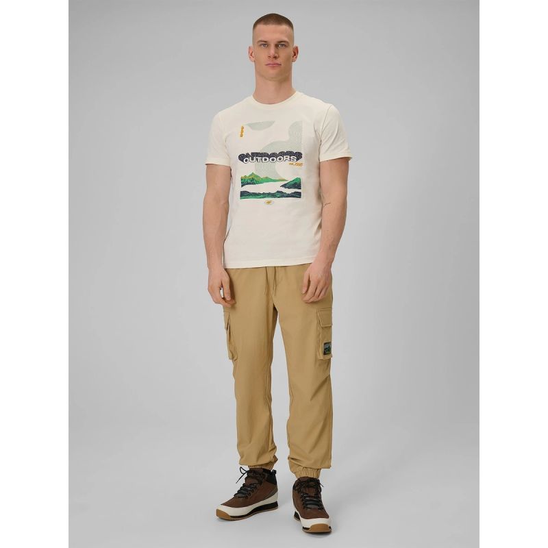 Men's regular printed T-shirt 4F 4FRAW25TTSHM3378-11S póló