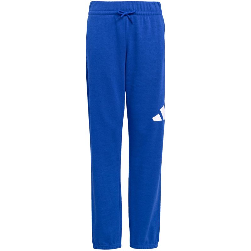 adidas Essentials 280 Blue Kids' Pants JV9916 General