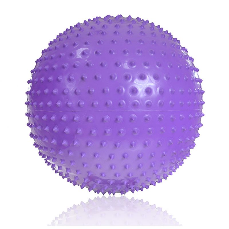 Inny PROFIT Gymnastics with Massage 55cm Purple DK 2104 Labda
