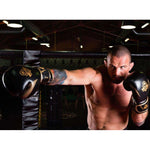 DBX Bushido 10oz Boxing Gloves - Aureos - Valor Series kesztyű