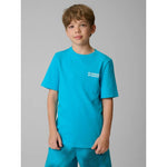 Boy's regular printed T-shirt 4F 4FJRSS26TTSHM3832-33S póló