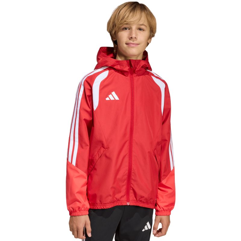 Kép alternatív szöveg