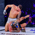 DBX Bushido MMAM Gloves - Harmony - Valor Series kesztyű
