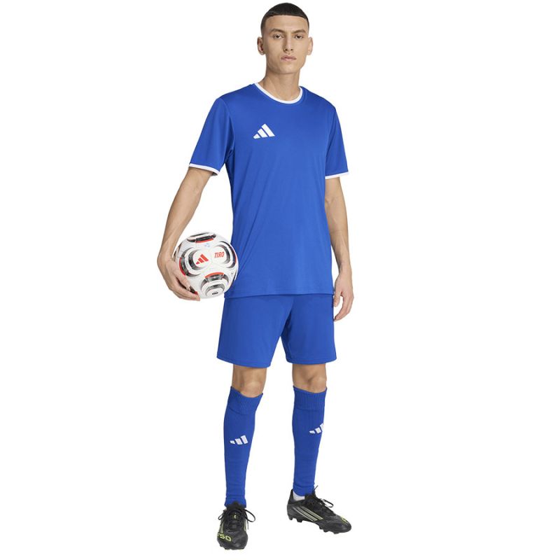 Kép alternatív szöveg