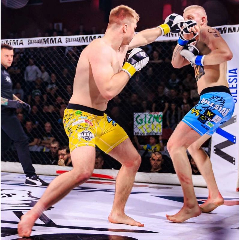 DBX Bushido MMAsparring gloves S/M - Edge - Valor Series l/xl kesztyű