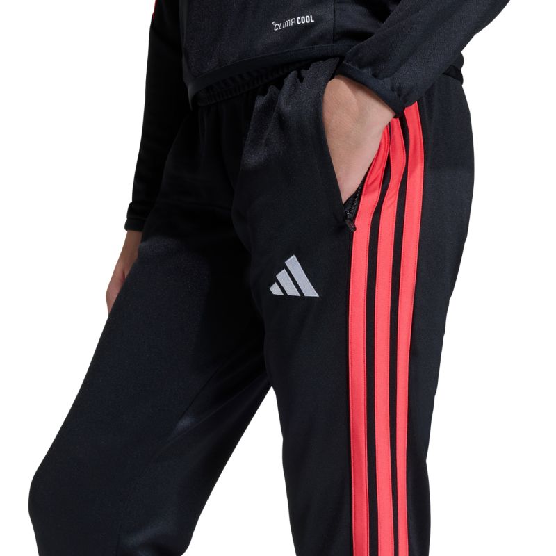 Kép alternatív szöveg