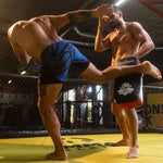 DBX Bushido | Thai training target with an elongated profile czarno-biała training equipment, shields