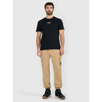 Men's regular printed T-shirt 4F 4FRAW25TTSHM3377-20S póló