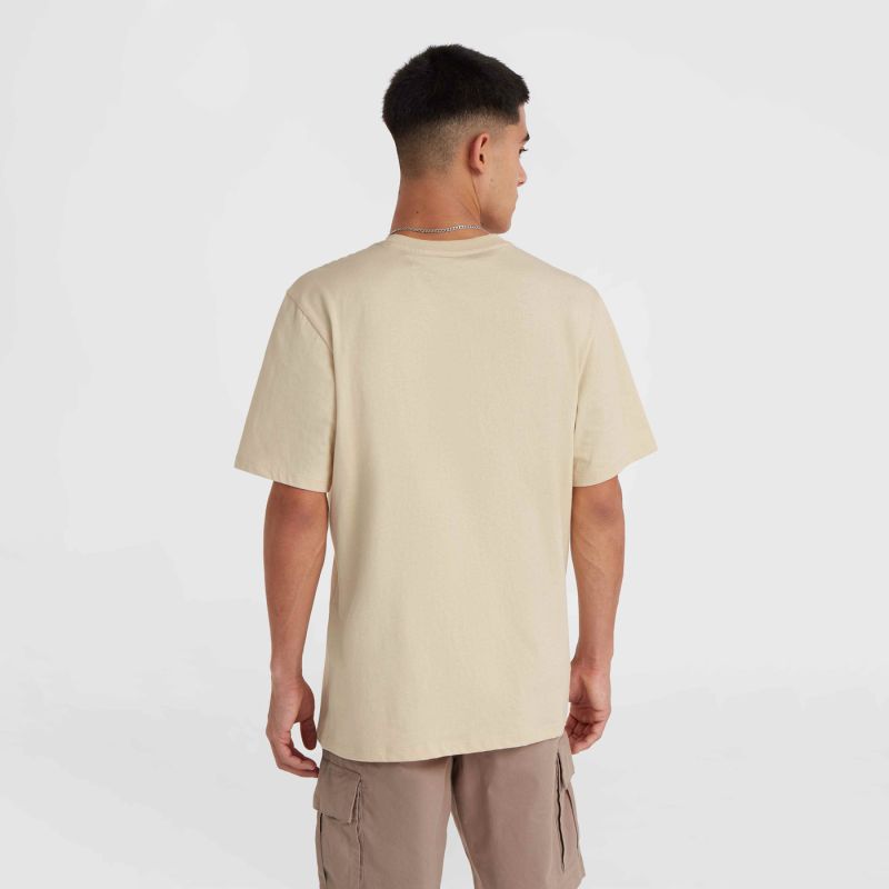 O'Neill Small Logo T-Shirt bézs póló