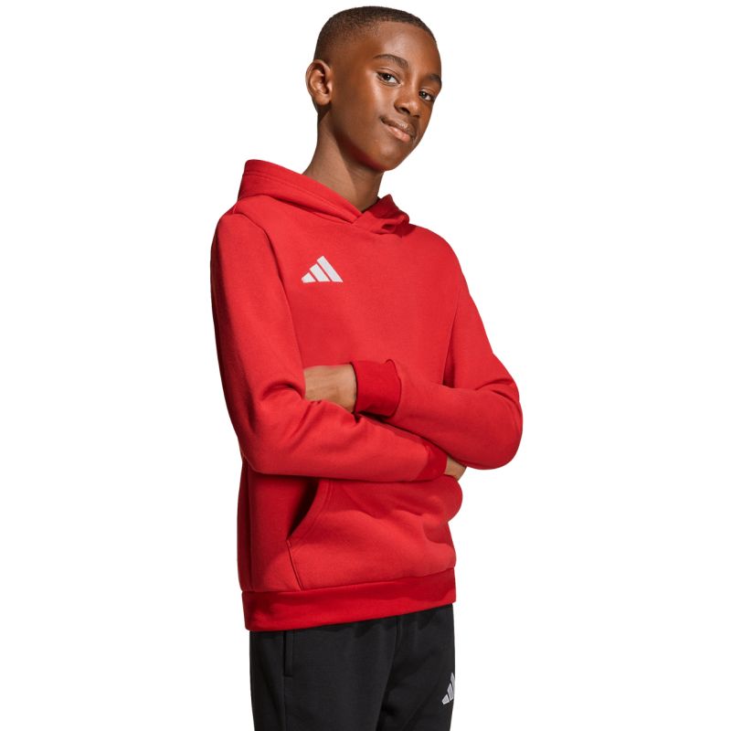 Kép alternatív szöveg