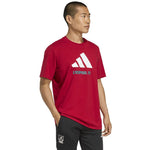 adidas Liverpool FC Seasonal DNA Graphic Tee 2 JY3466 póló