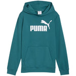 Puma ESS No. 1 Logo Hoodie for Kids Green 684909 zöld kapucnis pulóver