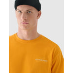 Men's oversized printed T-shirt 4F 4FRAW24TTSHM2578-70S póló