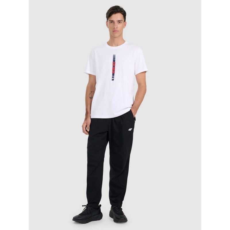4f Men's regular printed T-shirt 4FRAW25TTSHM3225-10S Ruházat