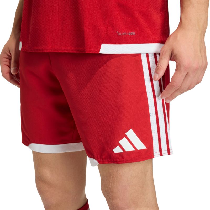 Kép alternatív szöveg