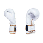 DBX Bushido 10oz Boxing Gloves - Spirit - Valor Series kesztyű
