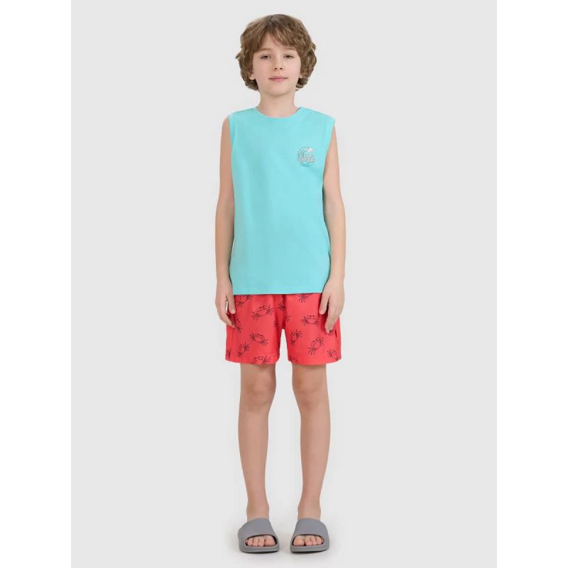 Boys' boardshorts 4F 4FJWSS25UBDSM121-63A 158/164 short