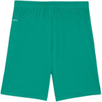 Puma Team Goal men's green 705752 zöld short