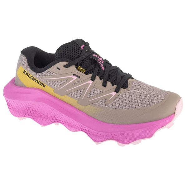 Salomon Ultra Flow 2 W L47883800 Gray 37 1/3 General