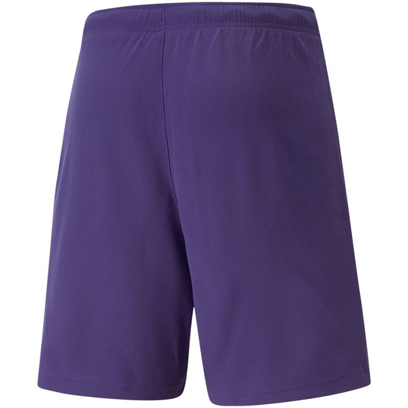 Puma teamRise Short Prist M 704942 10 Short