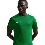 Men's Nike Dri-Fit Park VIII T-shirt green HV8173 zöld póló