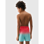 Boys' boardshorts 4F 4FJWSS25UBDSM115-47S 158/164 short