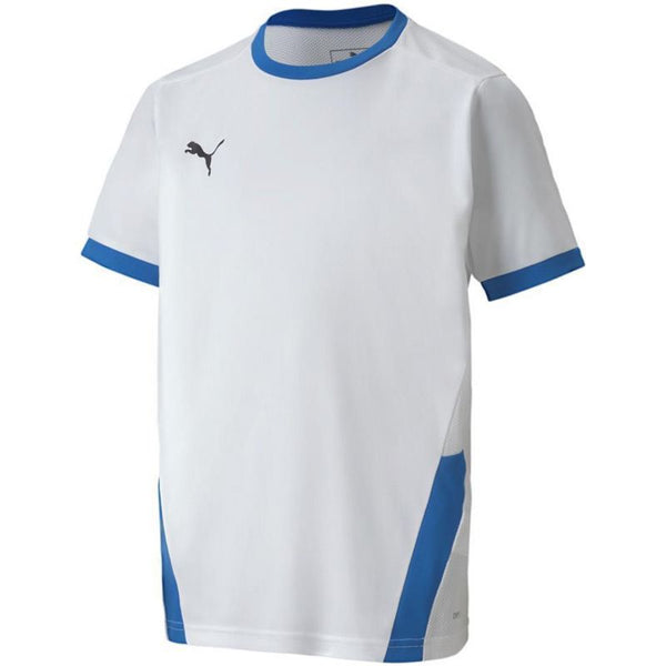 Puma teamGOAL 23 Jersey Jr T-shirt 704160 12 Póló