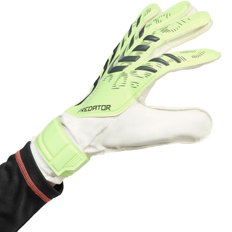 adidas Predator Training M JN5356 goalkeeper gloves kesztyű