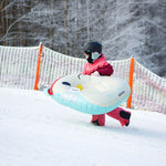 Meteor Owl Snow Slide