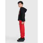 Boys' jogger sweatpants 4F 4FJRAW25TTROM1634-62S nadrág