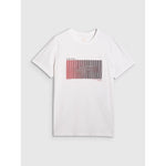 Men's regular printed T-shirt 4F 4FRAW25TTSHM3224-10S póló