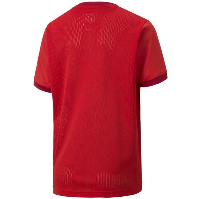 Puma teamGOAL 23 Jersey Jr T-shirt 704160 01 Póló